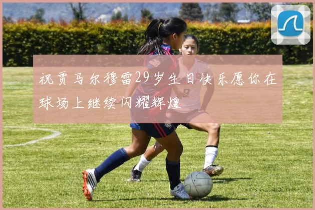 祝贾马尔穆雷29岁生日快乐愿你在球场上继续闪耀辉煌